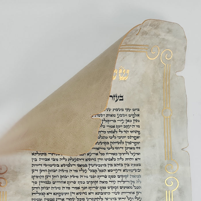 Shtar Kesiba #3
