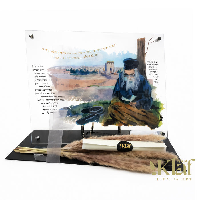 הרה”ק מריבניץ זי